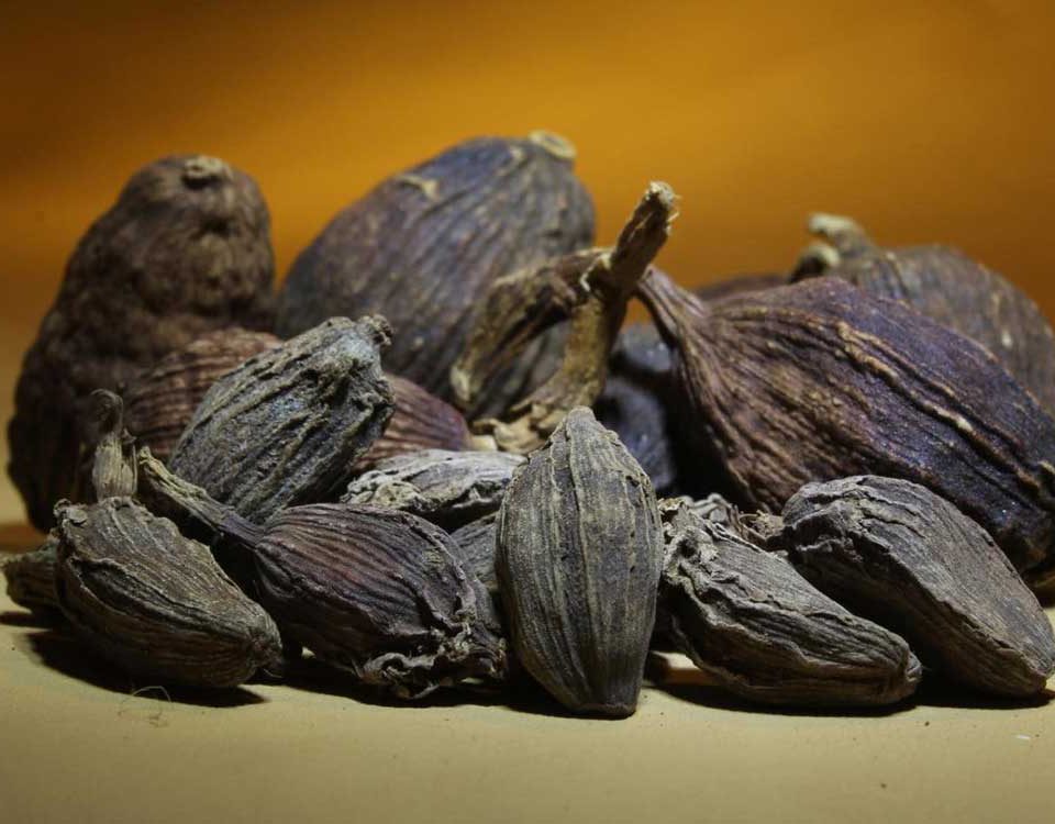 Large Cardamom