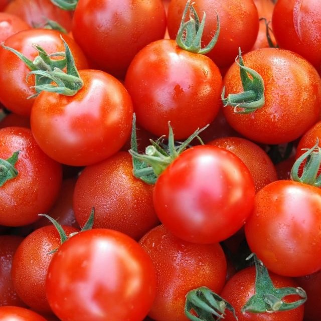 Tomatoes