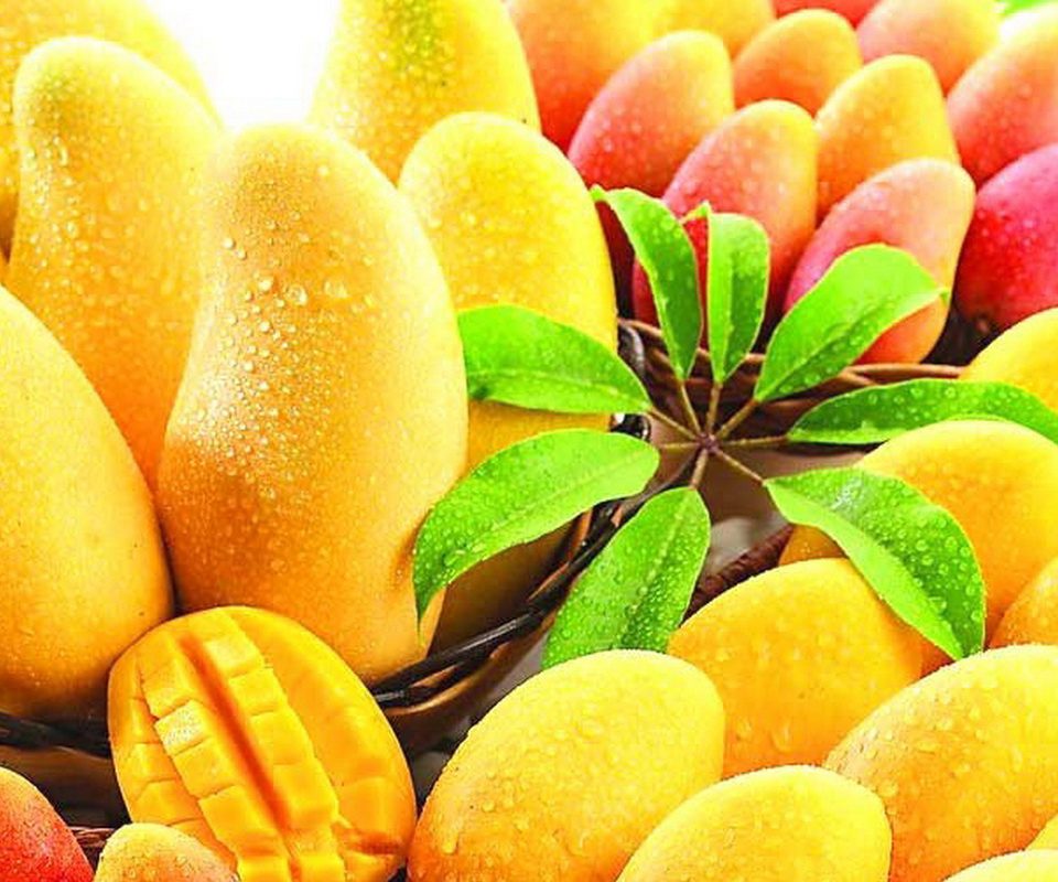 Mango